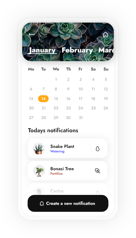 phone copy 5